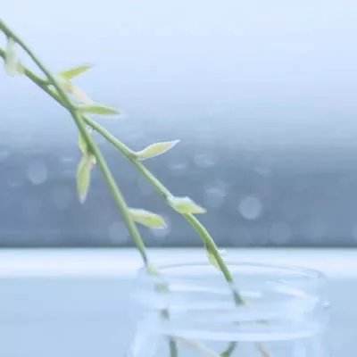 轮回仙境h5变态版下载